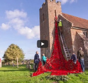 poppy cascade at north baddesley church