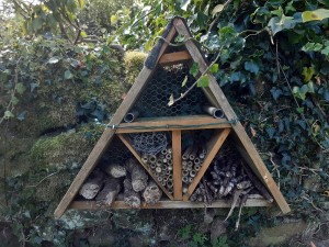 Bug box St Marys Embsay